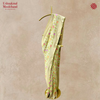 Monga Silk Handloom Meenakari Jaal Pistachio Saree