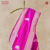 Katan Silk Handloom Kadhwa Shikargah Boota Fuscia Saree