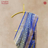 Katan Silk Kadhwa Handloom Tanchoi Shot Blue Saree