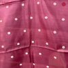 Silk Nandi Border Brown Saree