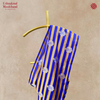 Handloom Katan Silk Kasha Saree