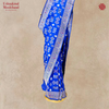 Katan Silk Handloom Chitra Saree